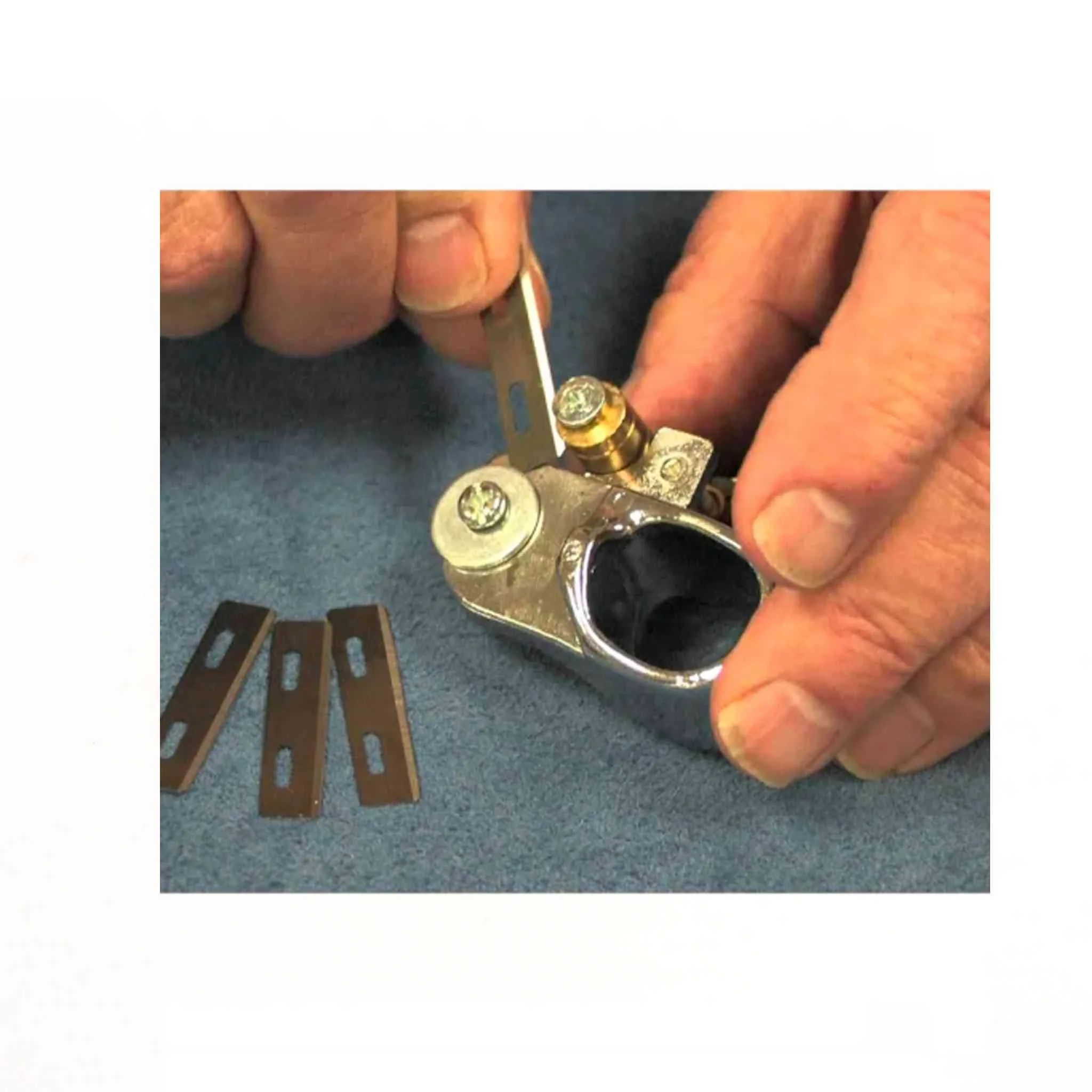 Australian Strander (Lace Maker) - Image 2