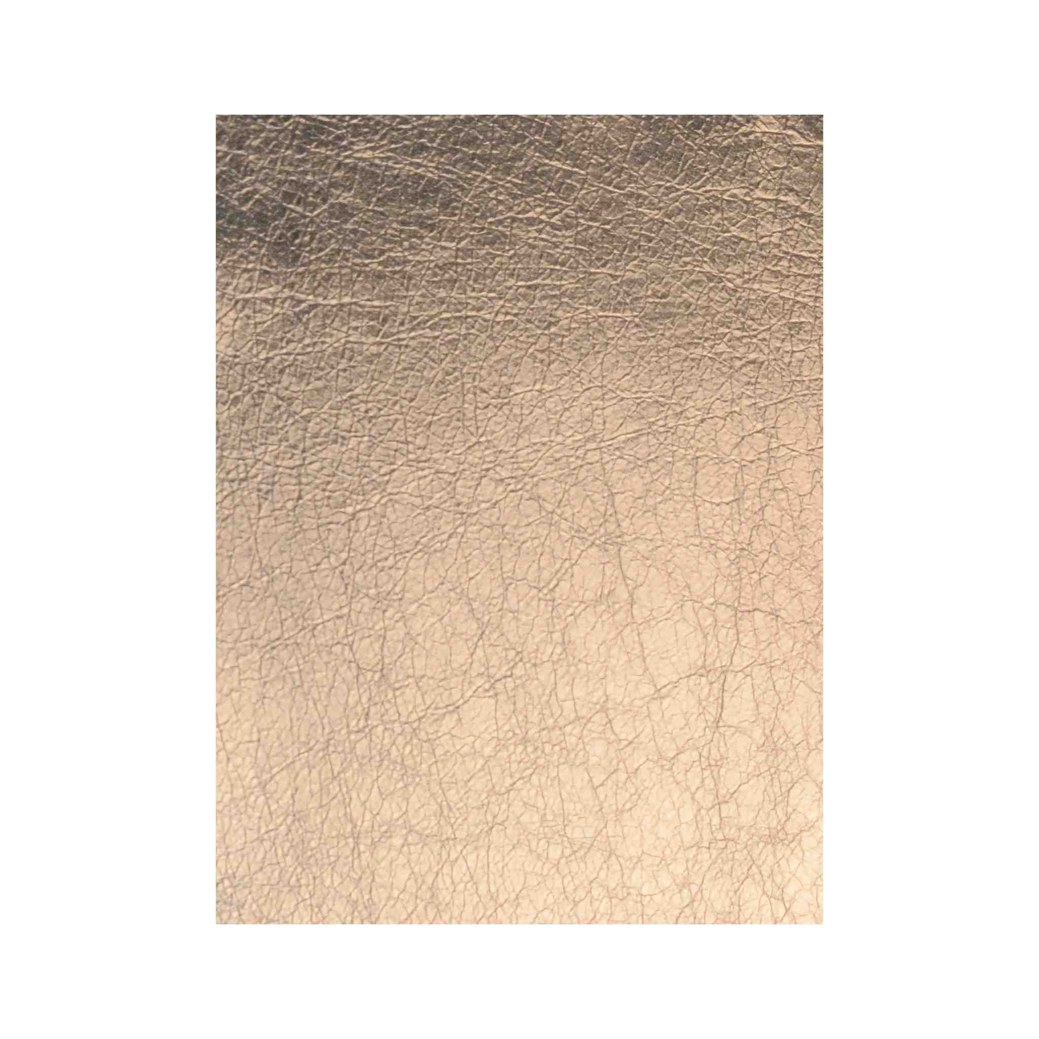 Champagne Metallic Foil Leather - Image 2