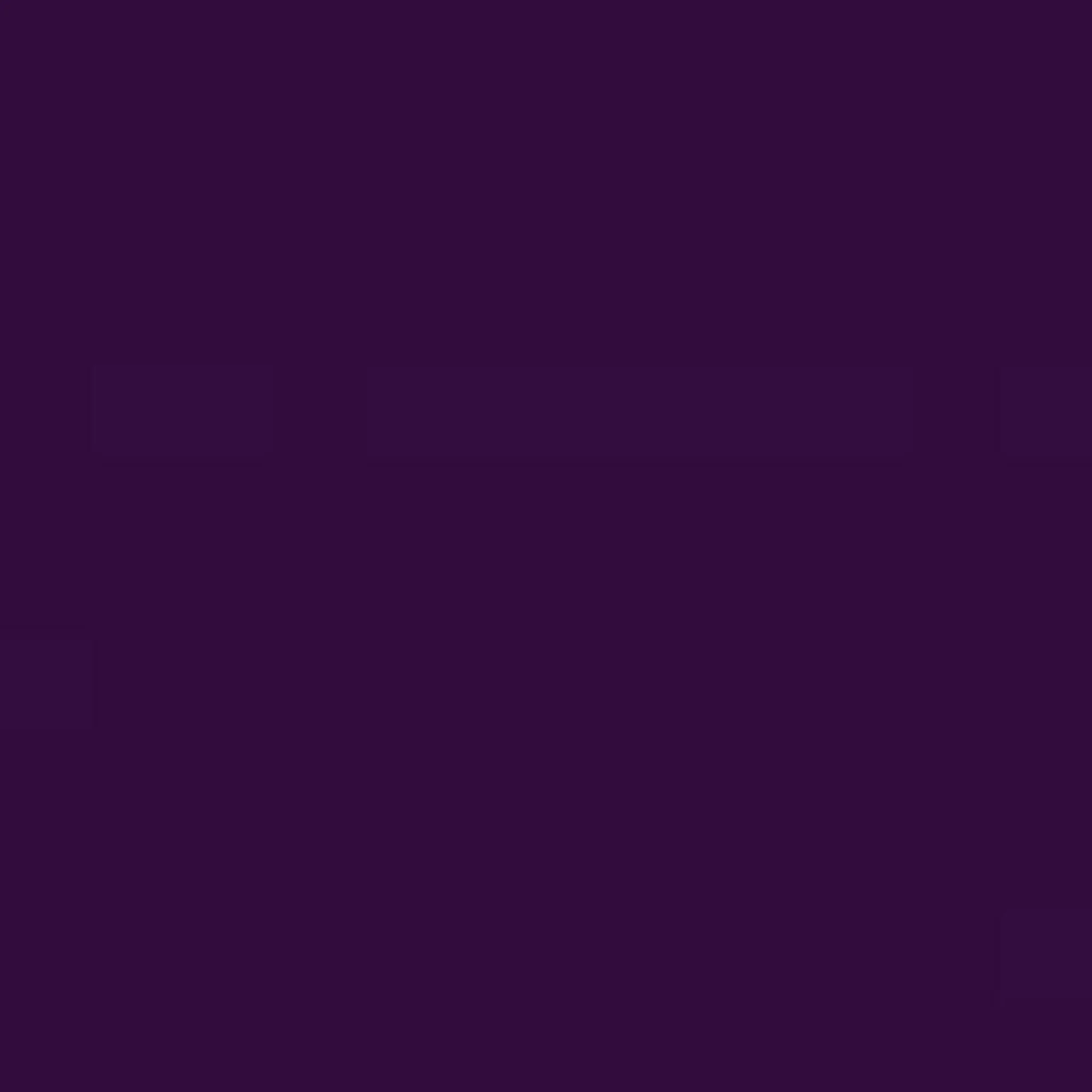 Dark Purple Lamb Clothing Leather - Image 2