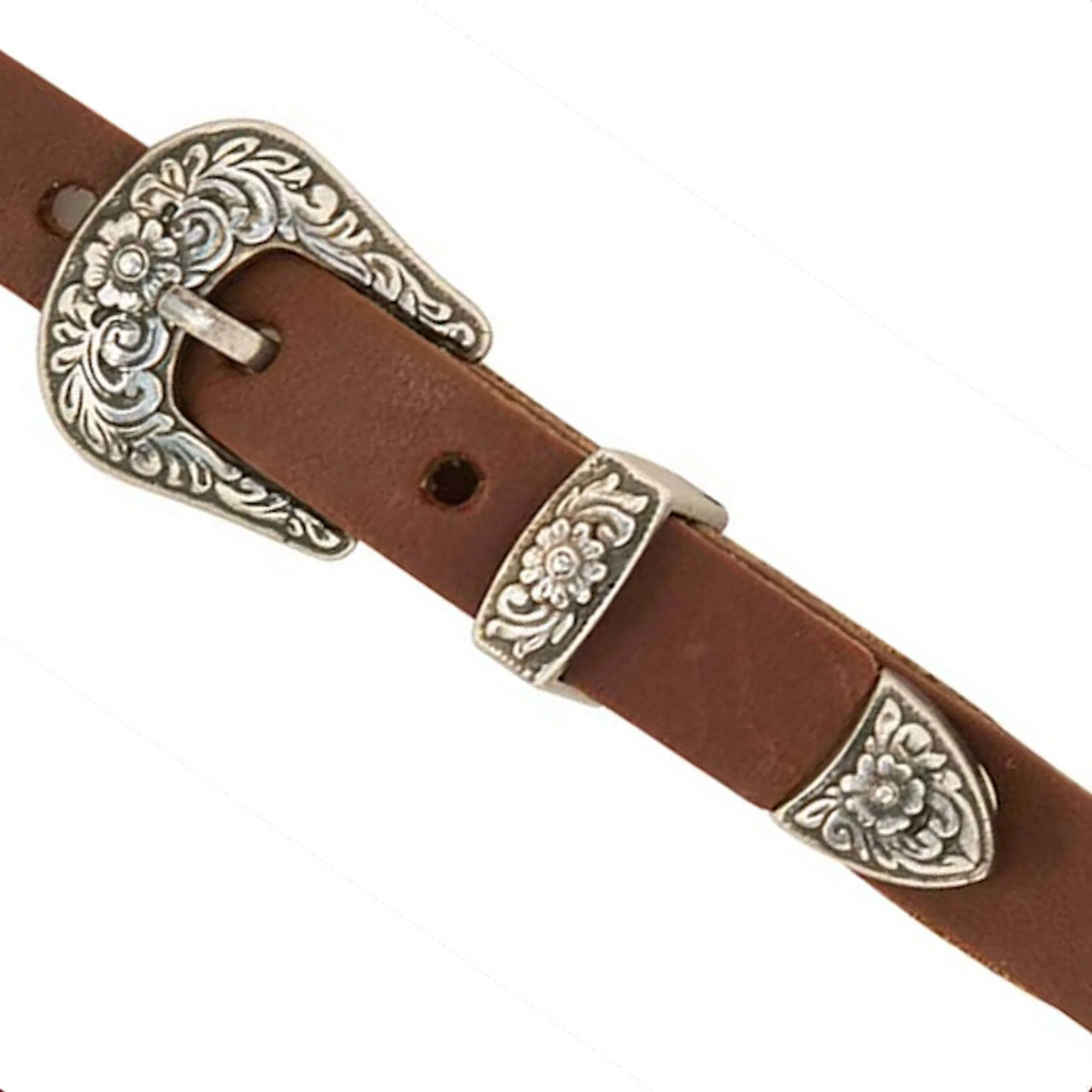 Diablo Victoriana Buckle Set - Image 3