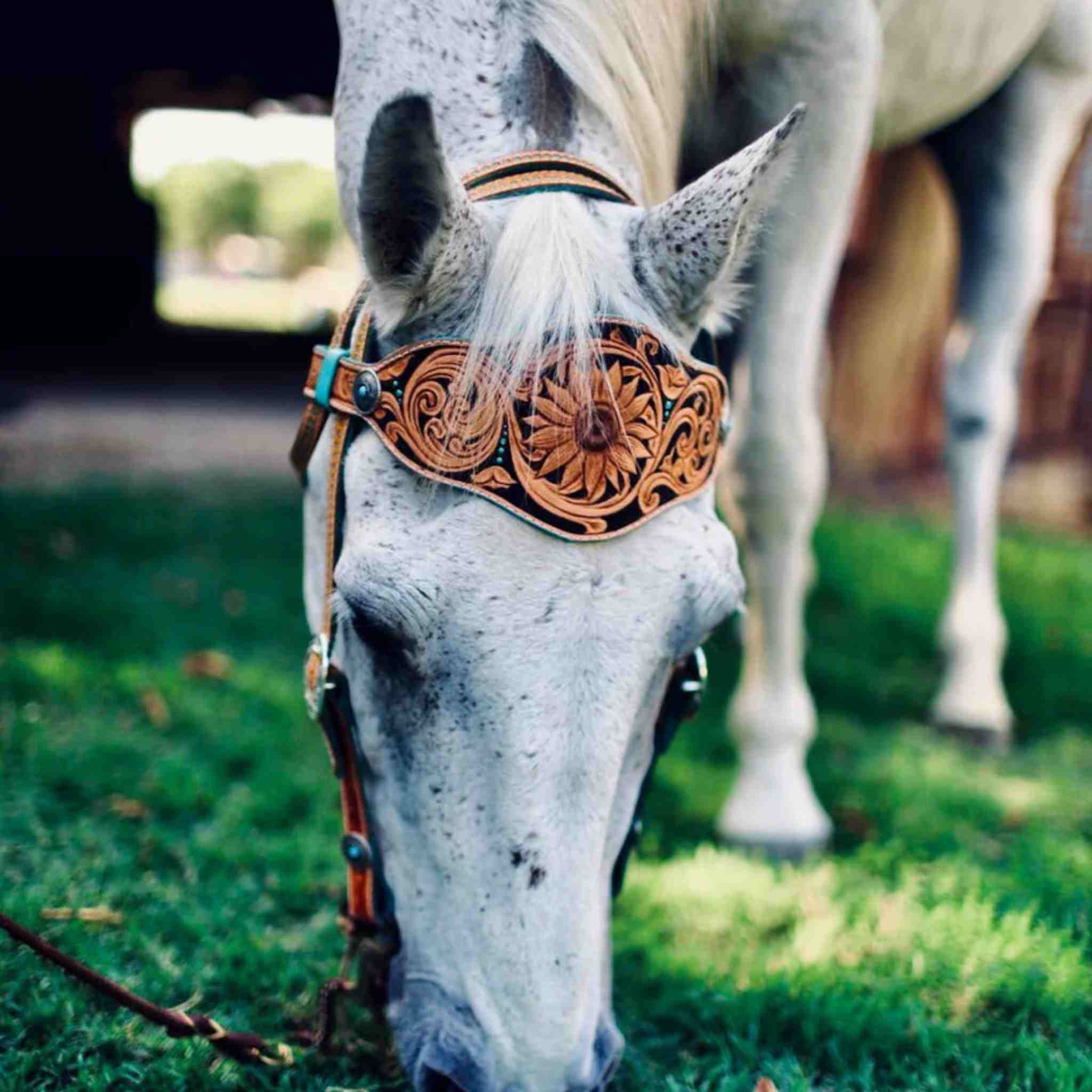Horse Tack Paper Pattern - Image 2