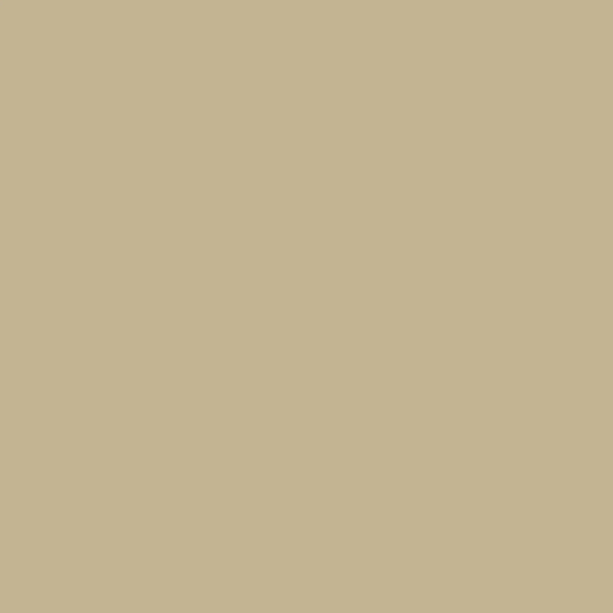 Magnolia Lamb Clothing Leather - Image 2