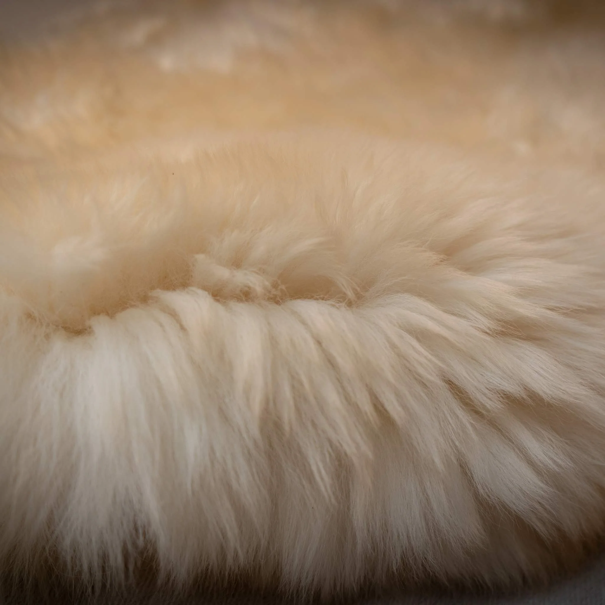 Natural Wool Sheepskin - Image 3
