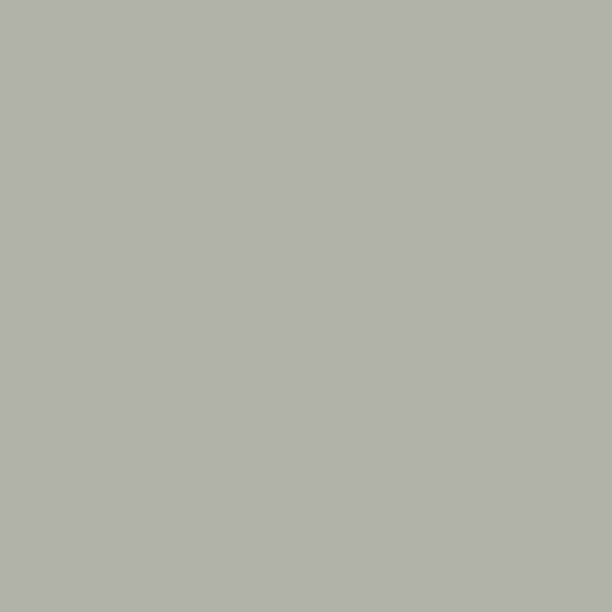 Pebble Grey Lamb Clothing Leather - Image 2