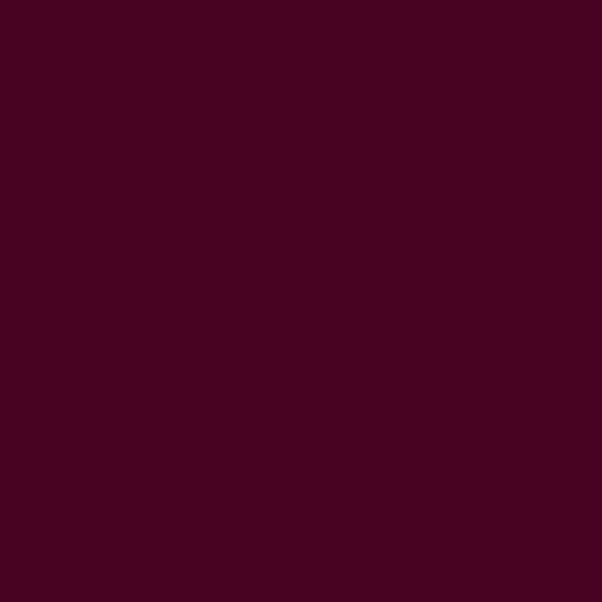 Plum Lamb Clothing Leather - Image 2