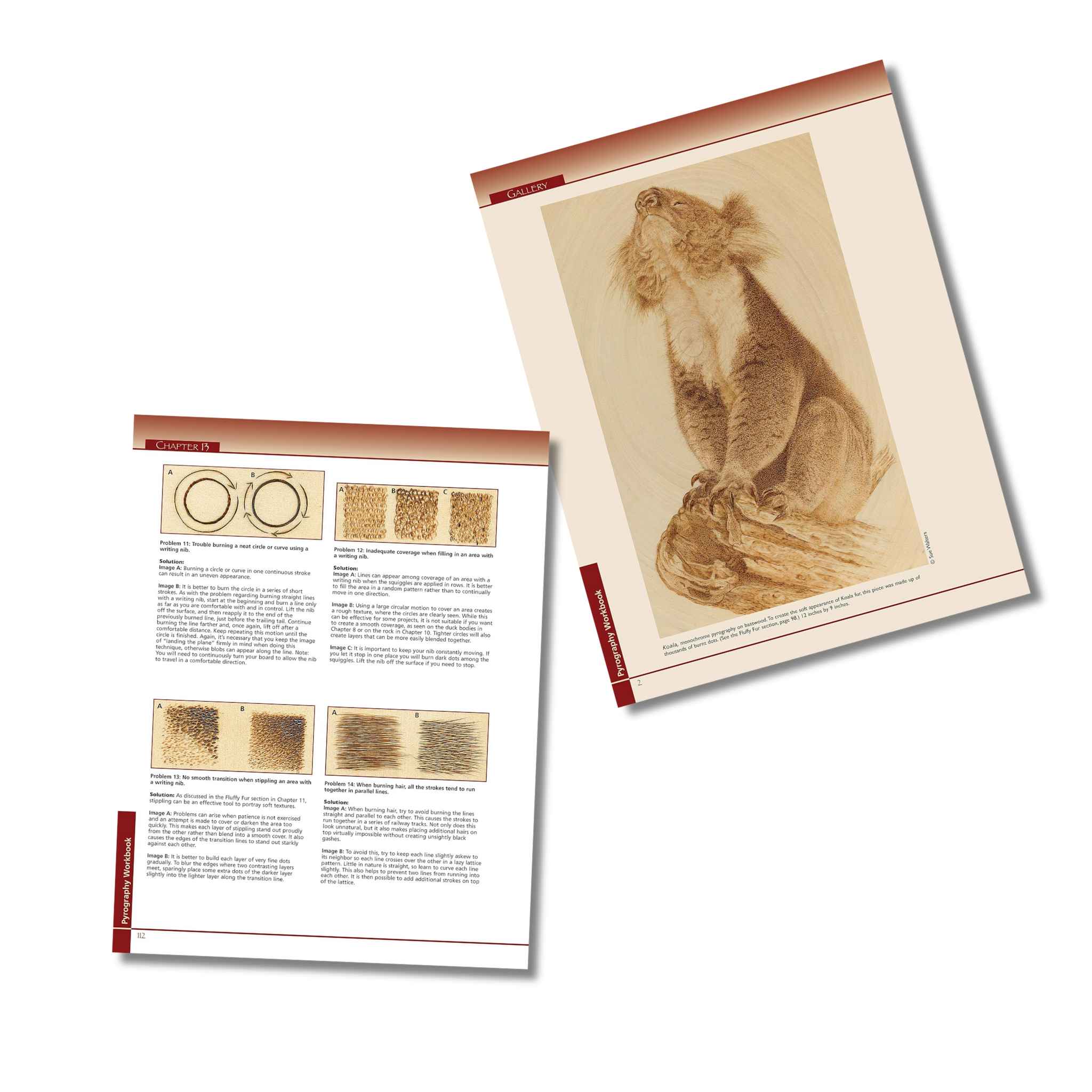 Pyrography Workbook by Sue Walters - Image 3
