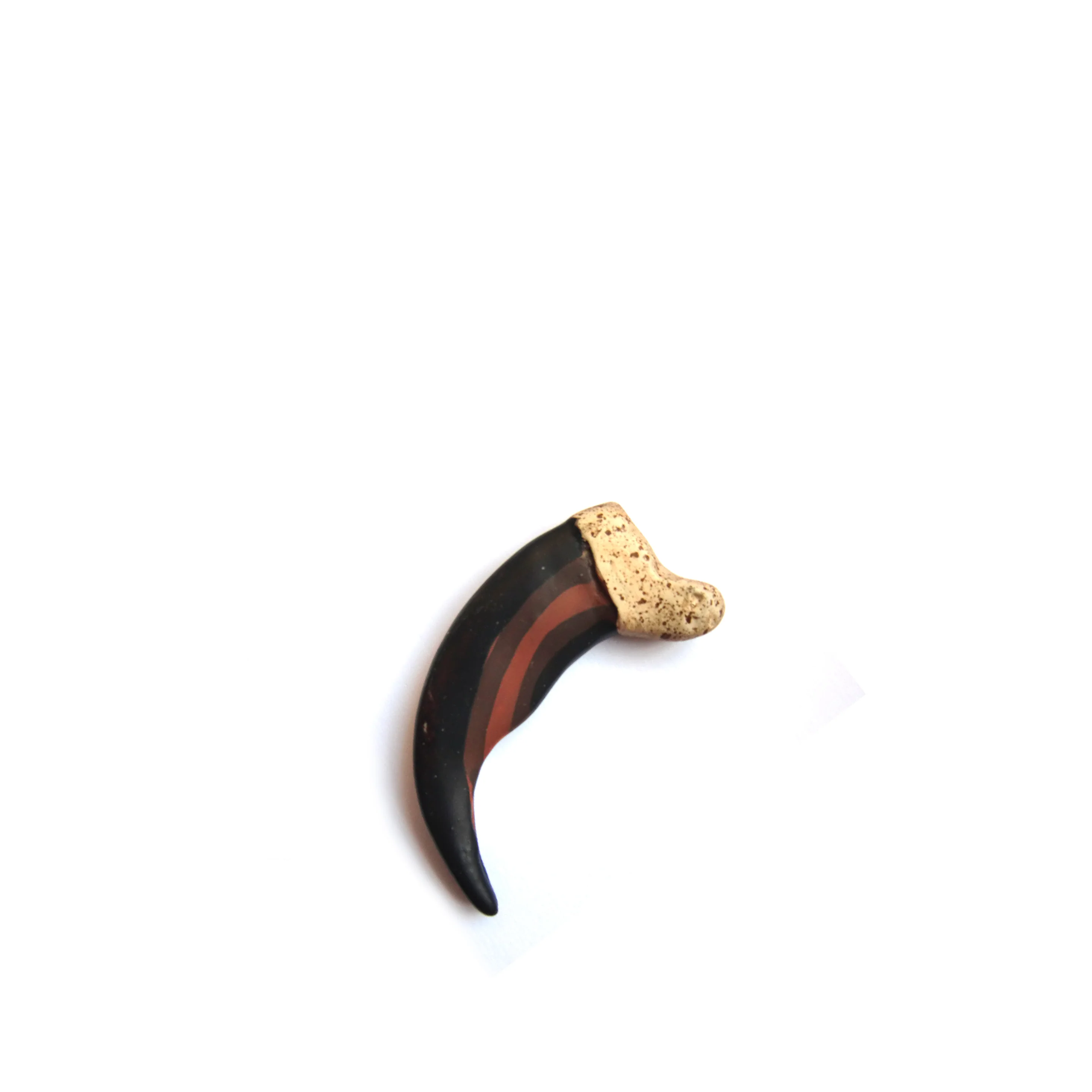 Cast Resin Bear Claws - Image 3