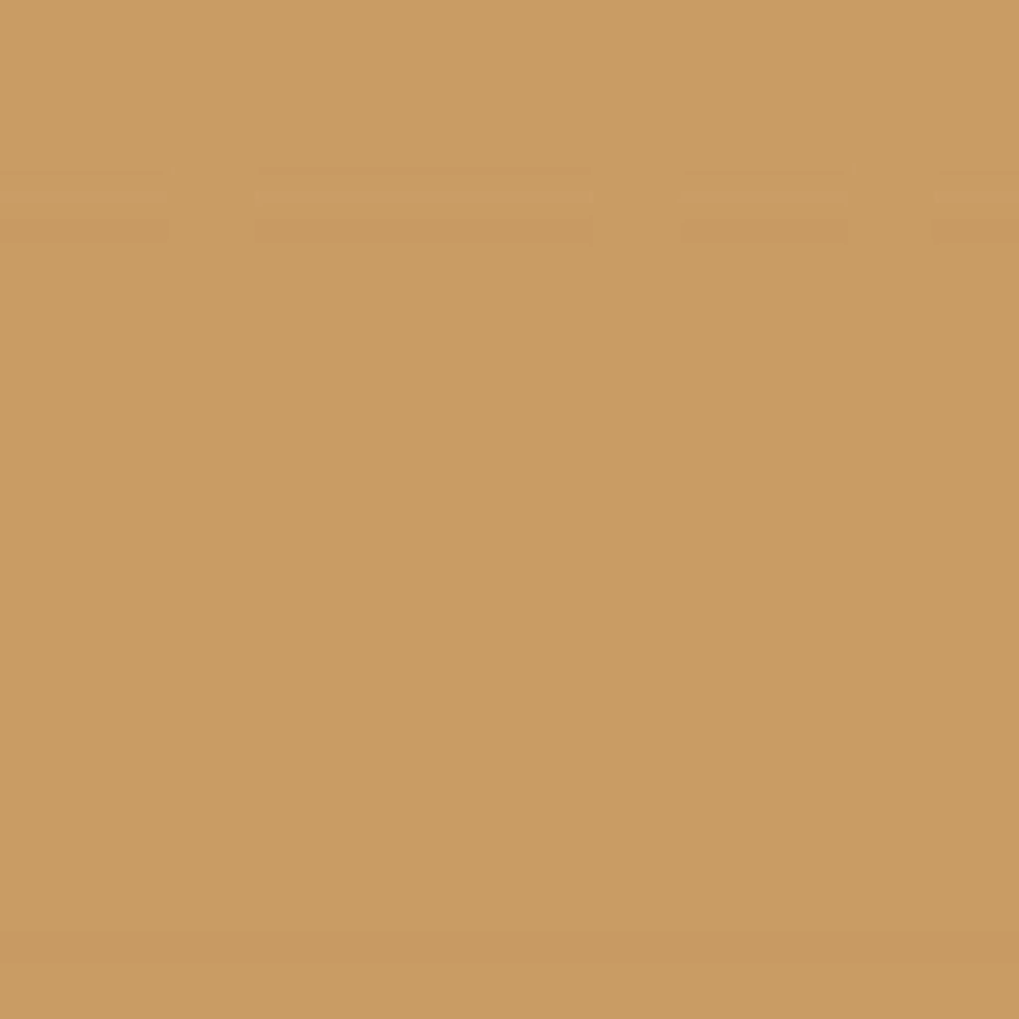 Sand Lamb Clothing Leather - Image 2