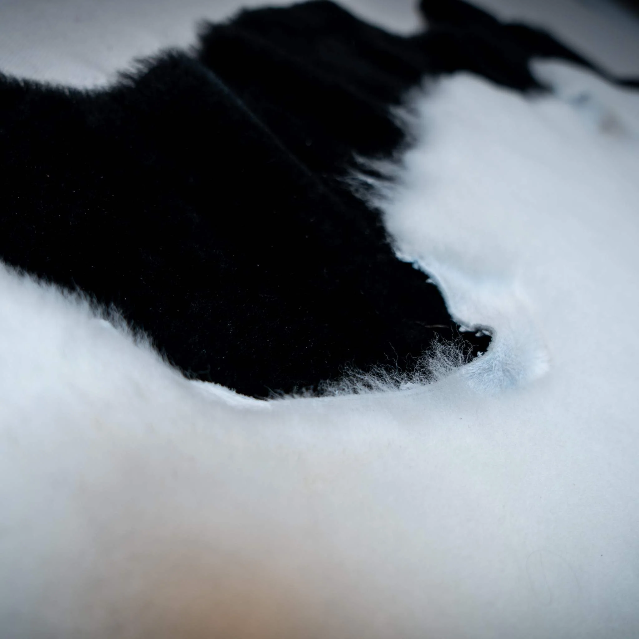 Short Pile Wool Sheepskin - Image 3