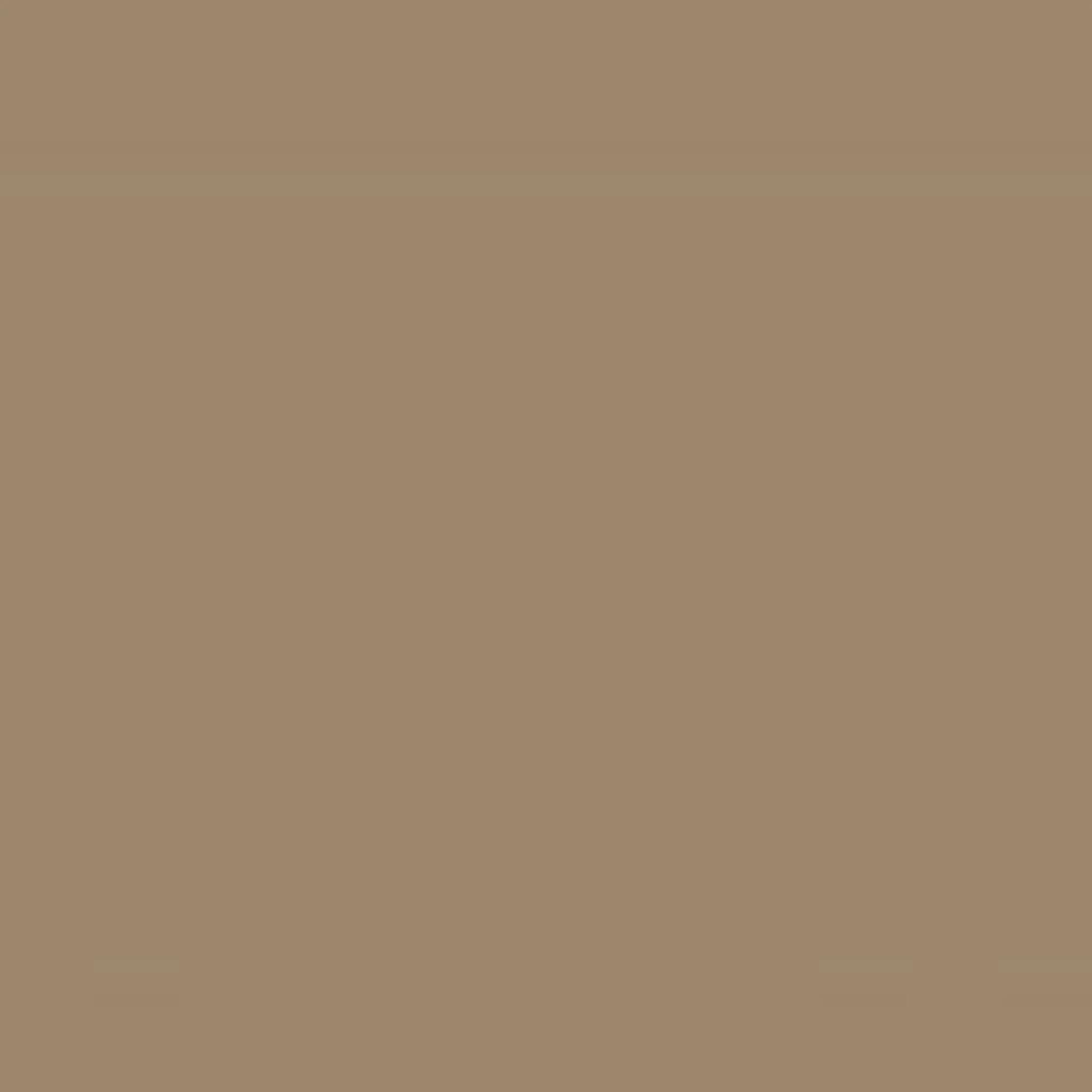 Taupe Lightweight Pig Suede - Image 3